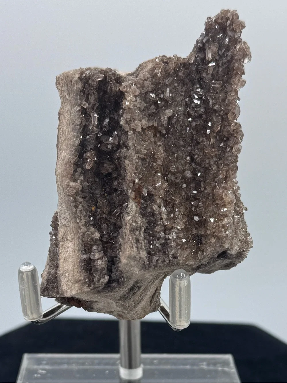 Petrified Wood Druzy Display - Brown Sparkling Crystal Brilliant Alabama
